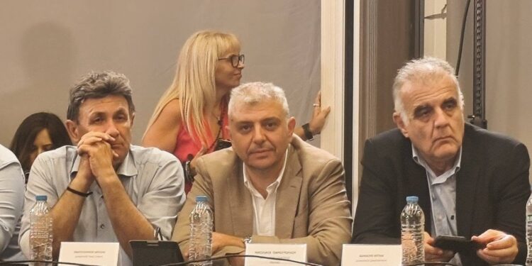 Ν. Παρούτογλου: «Οι προτεραιότητες της Αλμωπίας είναι ξεκάθαρες και οι προτάσεις μας έχουν κατατεθεί»