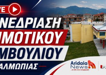 LIVE: Παρακολουθήστε σε ζωντανή μετάδοση τη Συνεδρίαση του Δημοτικού Συμβουλίου Αλμωπίας