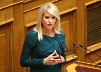 Θ. Τζάκρη: «Ανεμογεννήτρια χωρίς υπόγεια διασύνδεση σημαίνει πυρκαγιά»