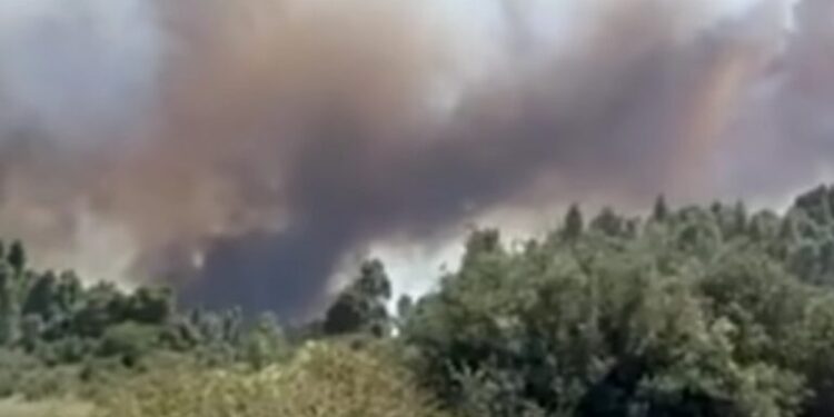 Μεγάλη φωτιά στη Χαλκιδική: Μήνυμα του 112 για εκκένωση της Σίβηρης και της Φούρκα