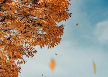 Φθινοπωρινή ισημερία: Επίσημο τέλος του καλοκαιριού από απόψε – Αρχίζουν να μικραίνουν οι μέρες