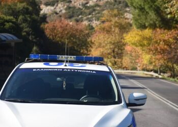 Πέλλα: Συνελήφθη 32χρονος με κρυμμένη καραμπίνα στην αυλή του σπιτιού του