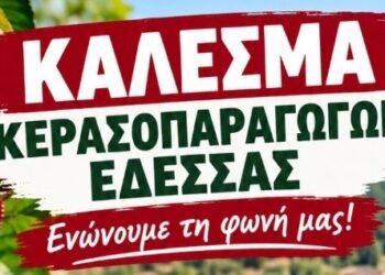 Ώρα μηδέν για τους κερασοπαραγωγούς της Πέλλας