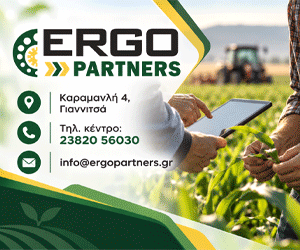 https://ergopartners.gr